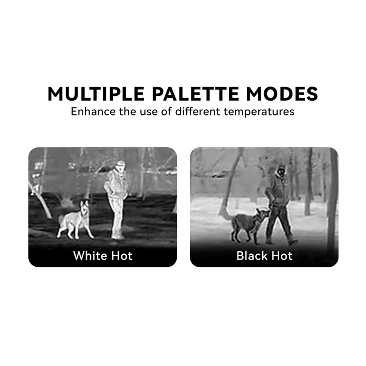 โมดูลถ่ายภาพความร้อนอินฟราเรด  - Thermal Imaging Camera 256X192 บทวิจารณ์และราคา